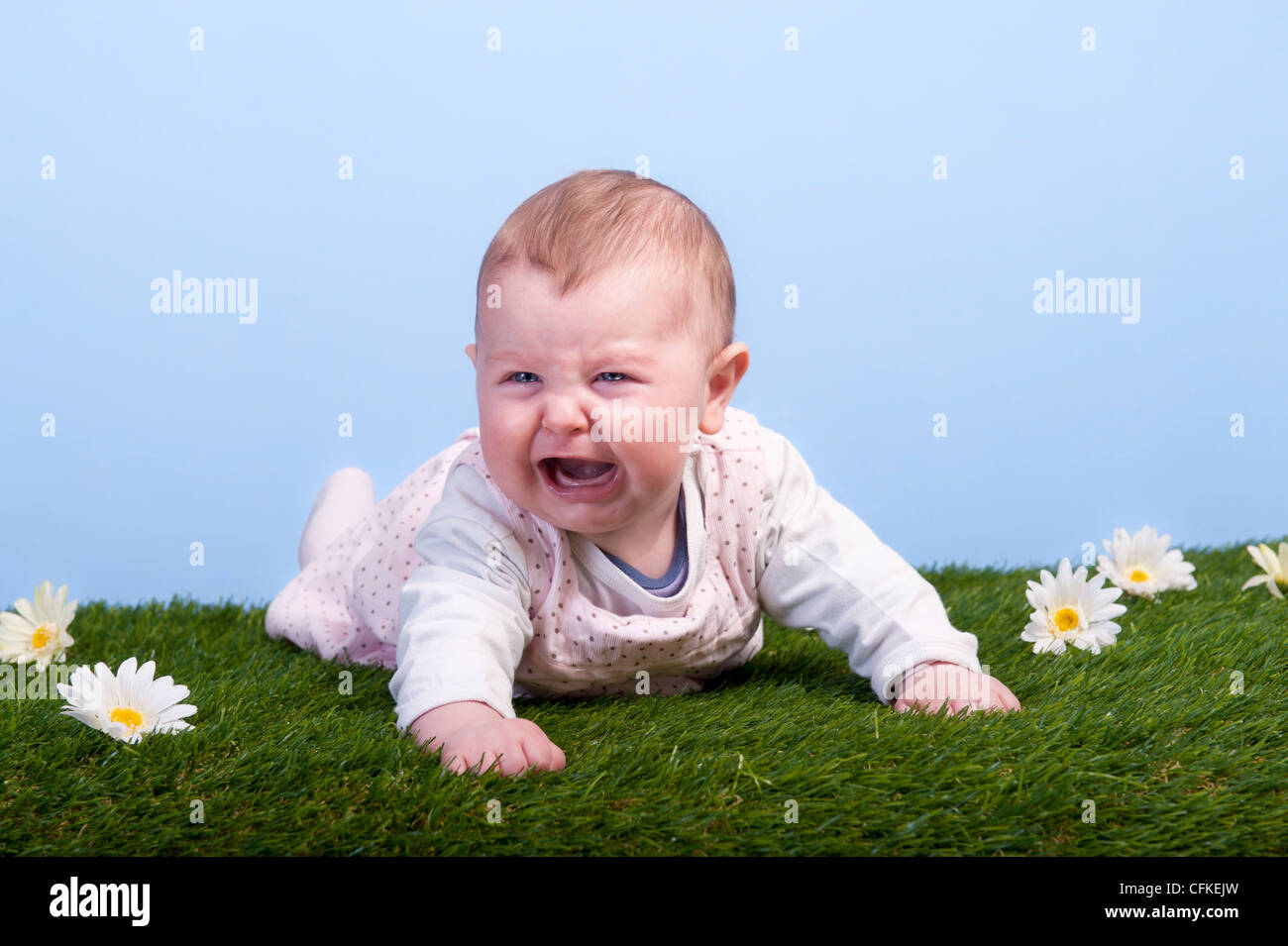 Bébé qui pleure allongé sur une pelouse avec daisies Banque D'Images