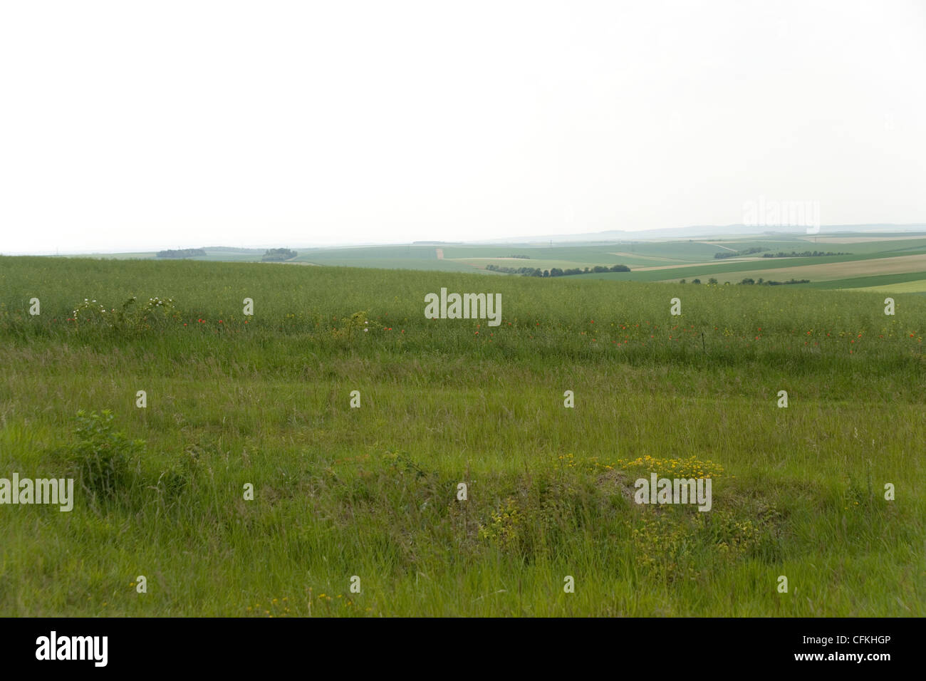 Des tranchées par la Ferme de Navarin Monument aux soldats français en Champagne, France se souvenir des morts de la Première Guerre mondiale Banque D'Images