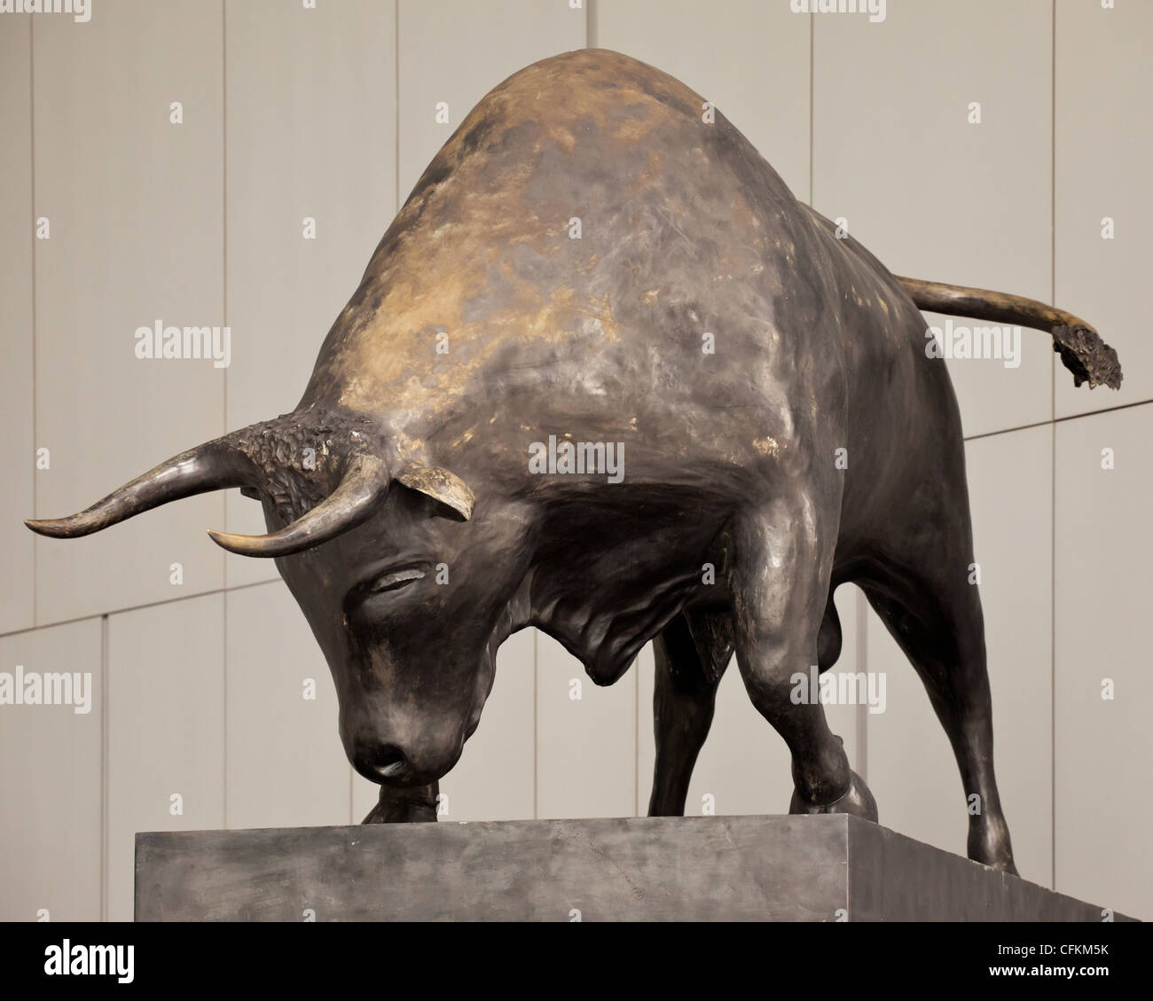 Bull Banque D'Images
