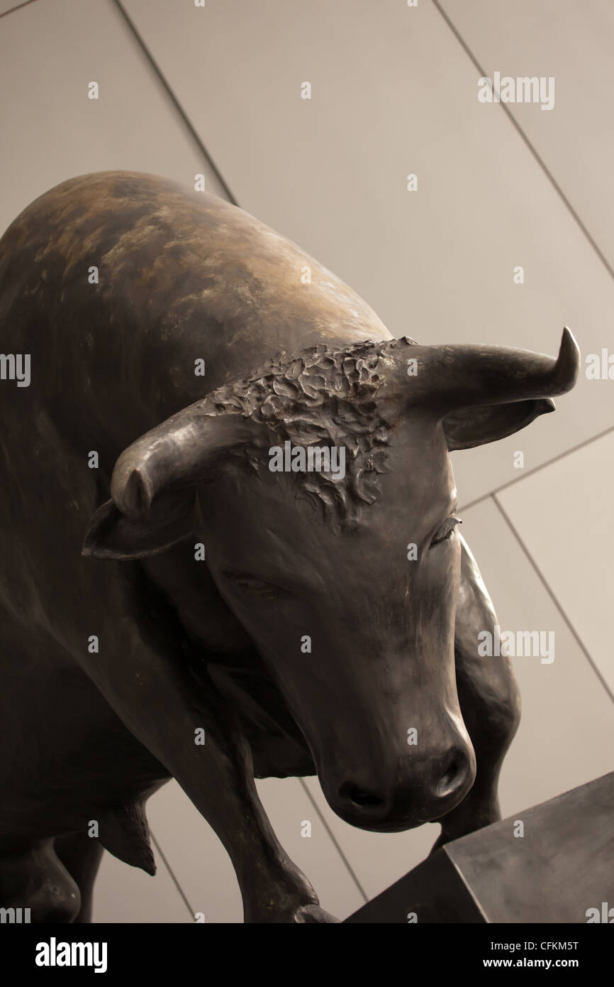 Bull Banque D'Images