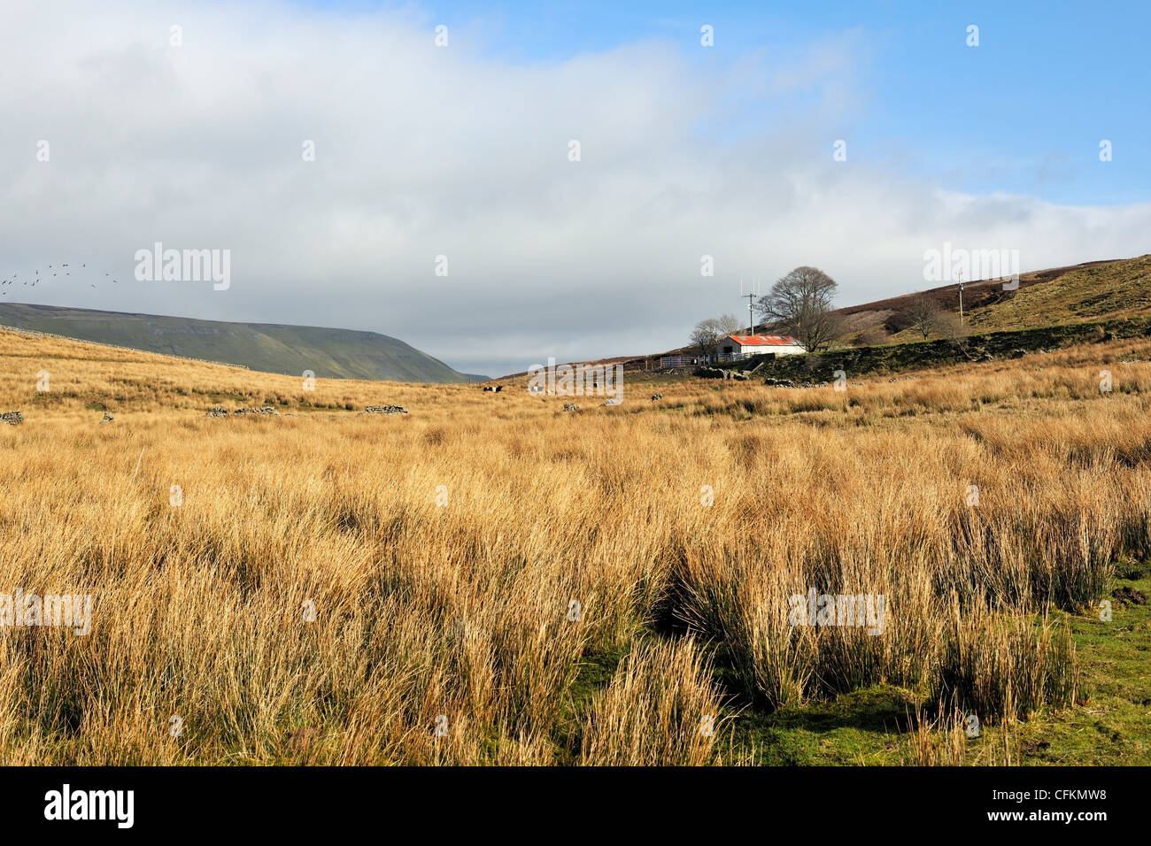 Près de landes à Garsdale, Carlisle à régler ligne de chemin de fer, Yorkshire Dales, Angleterre Banque D'Images