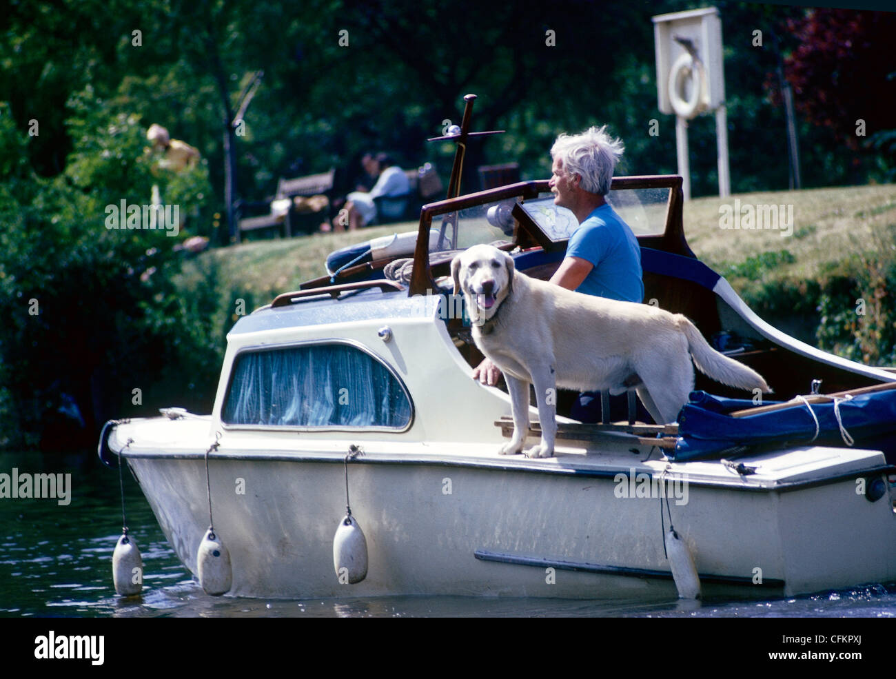 Un propriétaire de bateau un son chien naviguer la Tamise près de Londres, Royaume-Uni Banque D'Images