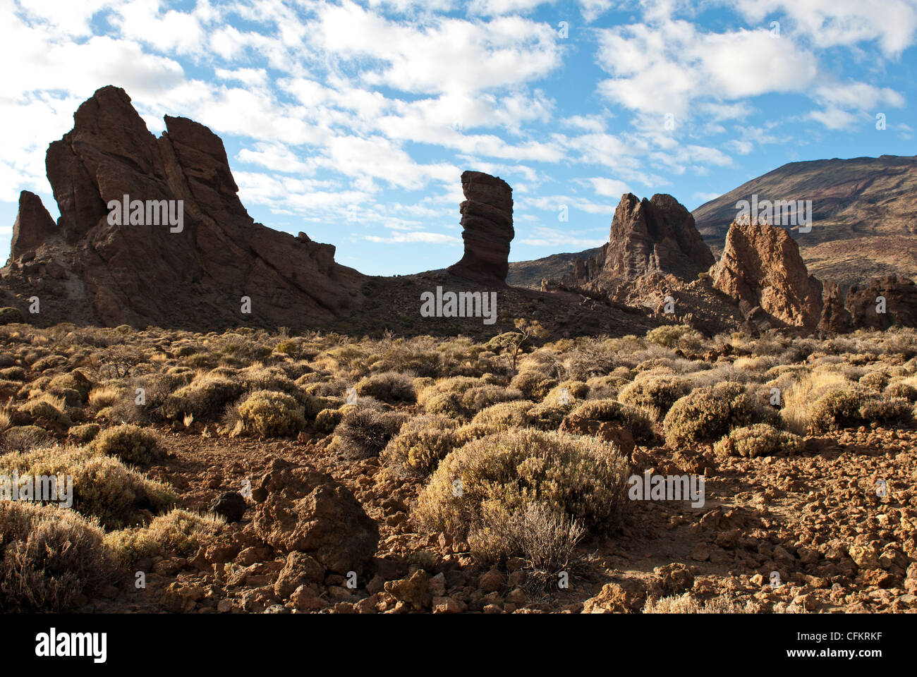 Le paysage lunaire du Parc National de Teide à Tenerife. Îles Canaries. Espagne Banque D'Images