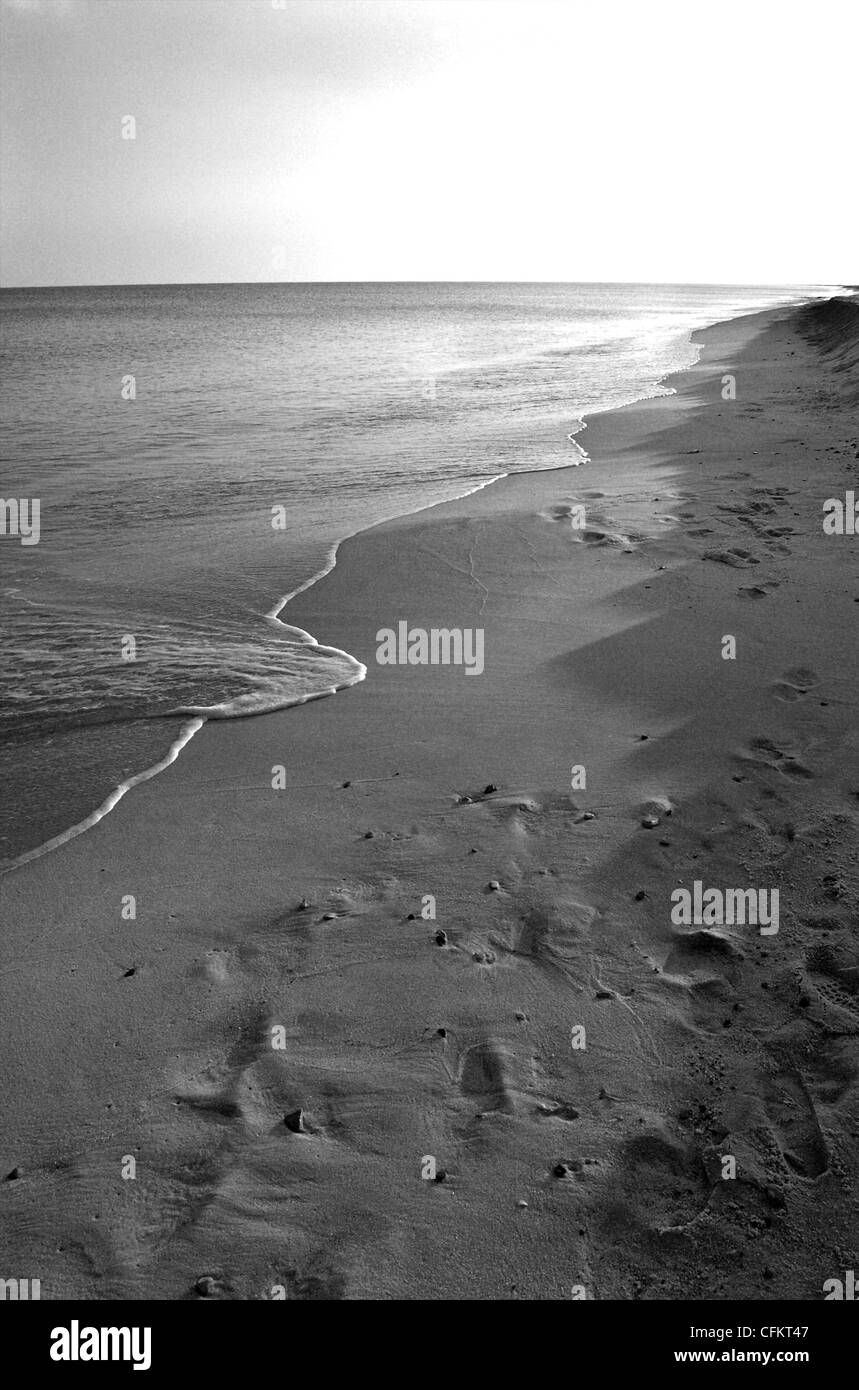 Paysage du clapotis des vagues sur la plage Banque D'Images
