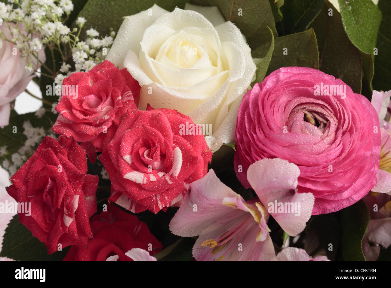 Bouquet de fleurs coupées, y compris les roses rouges l'alstroemeria ranunculus gypsophila Banque D'Images