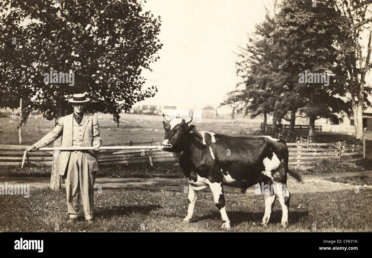 Gentleman Farmer à la tête d'un Taureau par le nez Banque D'Images