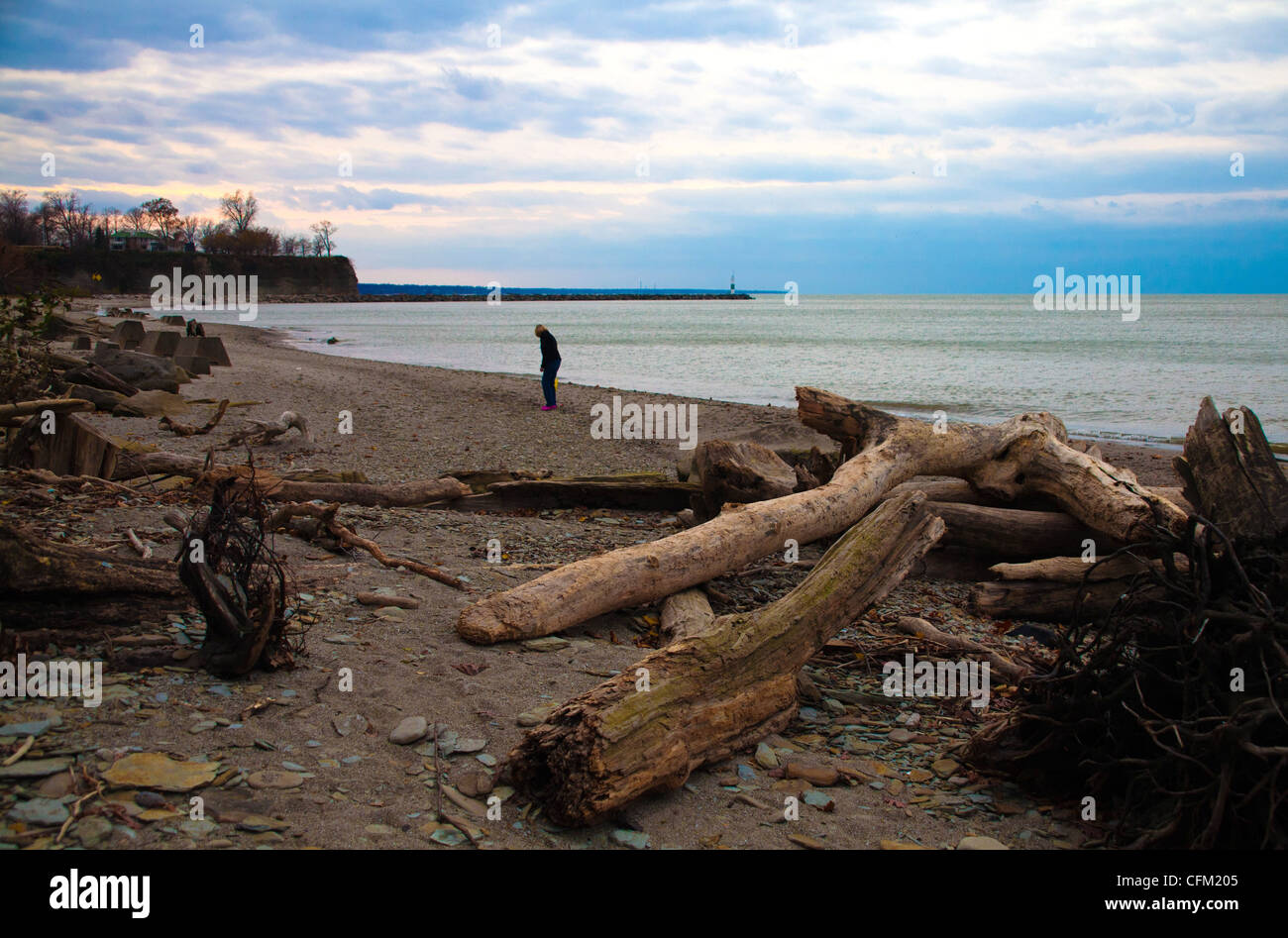 Des couleurs d'automne sur le lac Érié désolées Plage avec dérive, rochers et phare sur horizon lointain avec moody blue sky Banque D'Images
