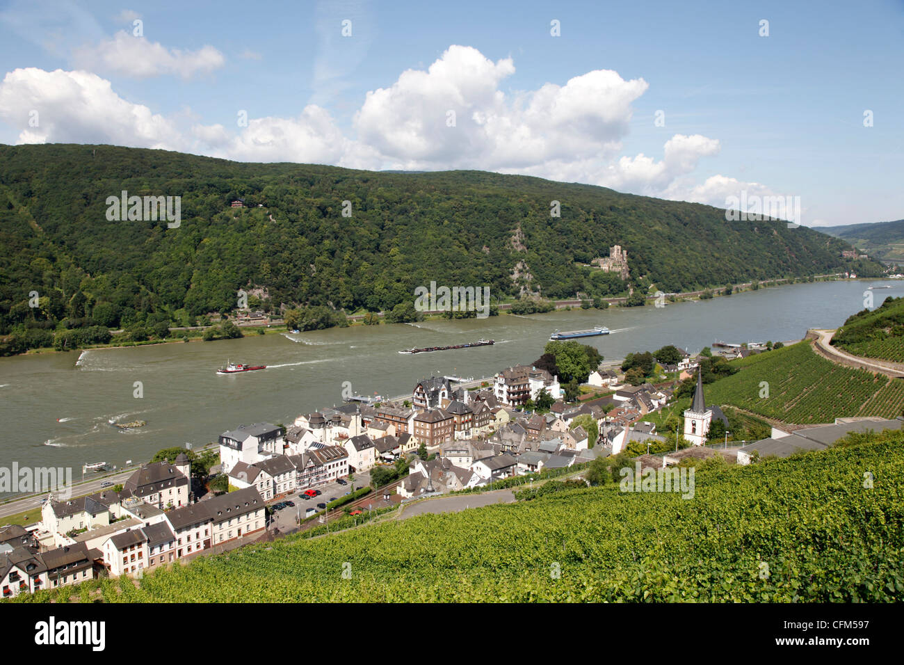 Assmannshausen, vallée du Rhin, Hesse, Germany, Europe Banque D'Images