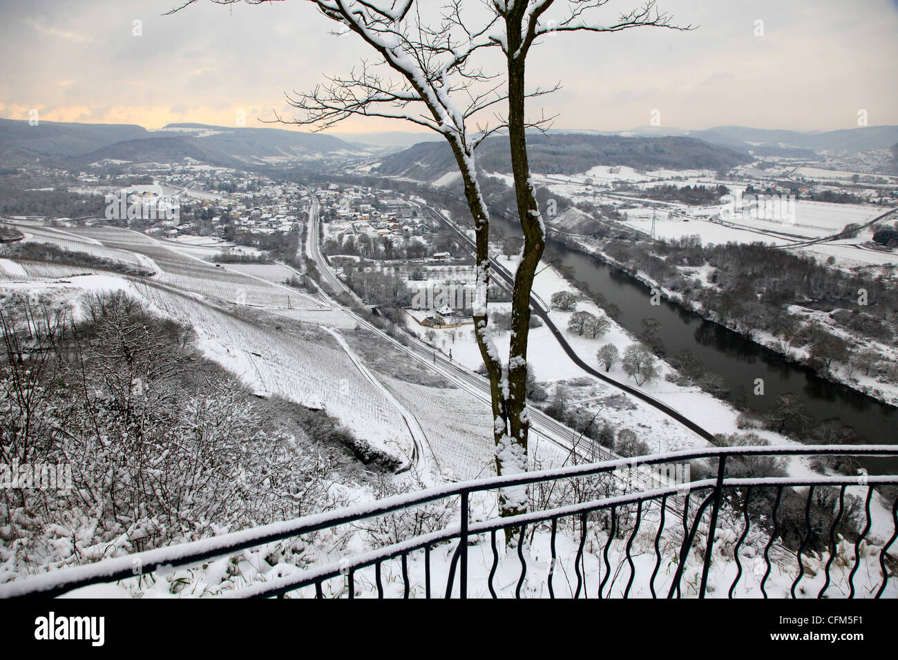 La vallée de la sarre près de Wiltingen en hiver, Rhénanie-Palatinat, Allemagne, Europe Banque D'Images