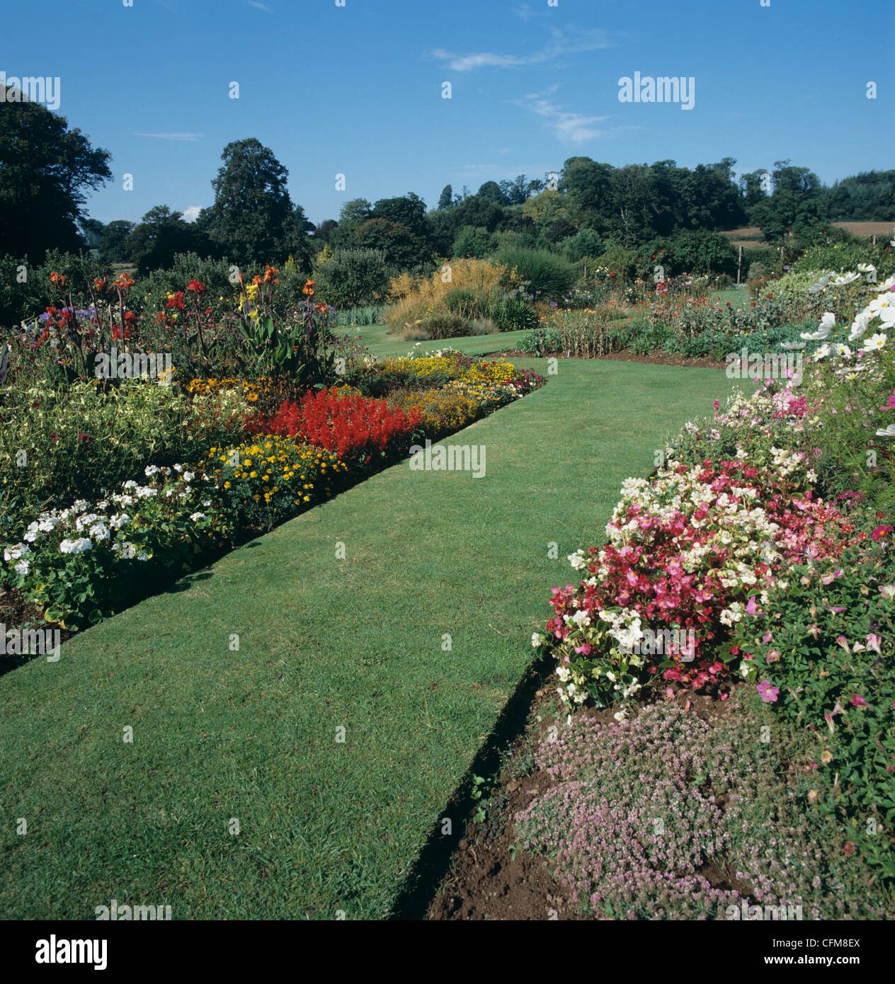 Pelouse et frontières herbacées à Bicton College, Devon Banque D'Images