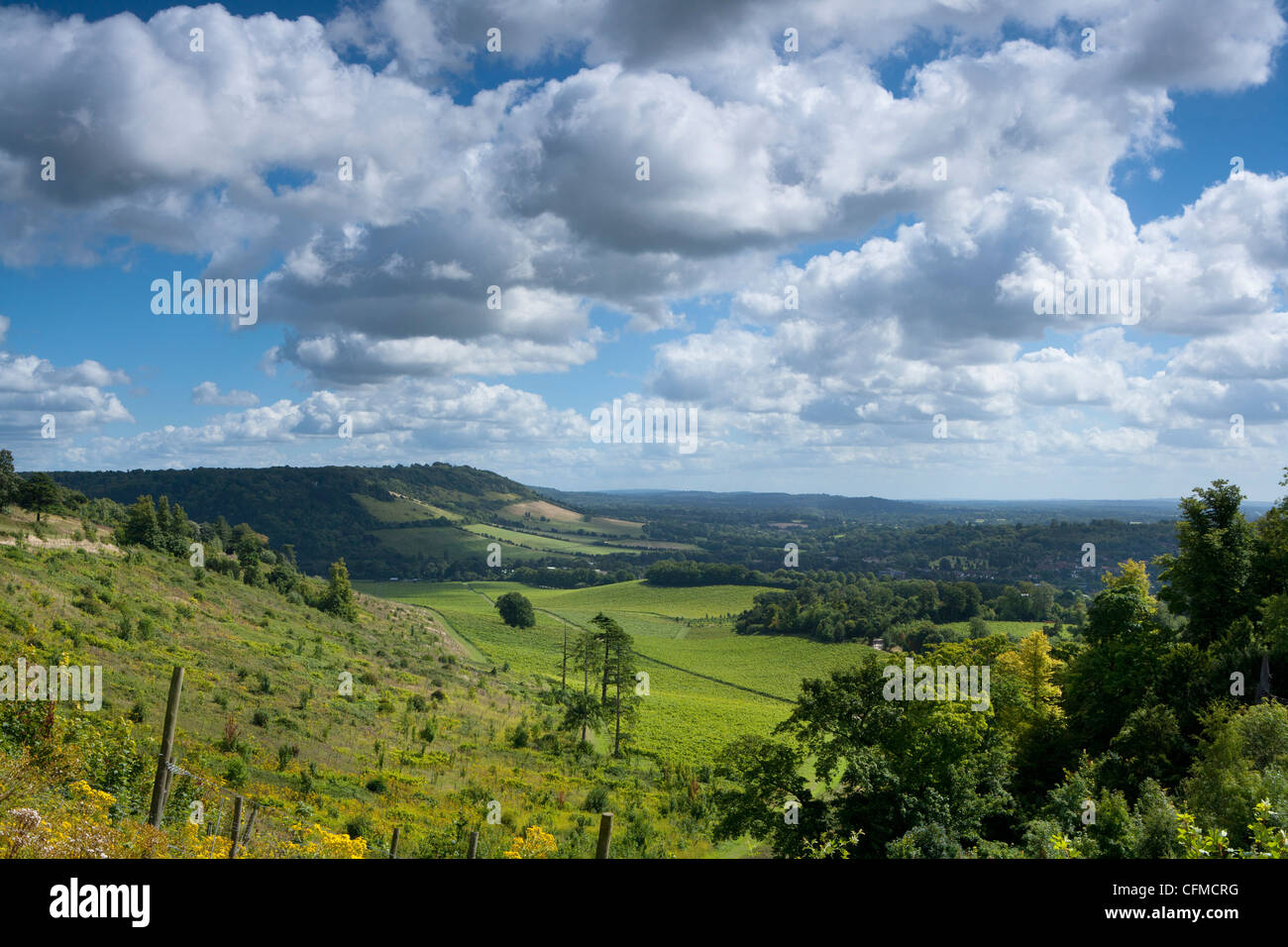 Vue éloignée de Fort Hill, près de Dorking, Surrey Hills, North Downs, Surrey, Angleterre, Royaume-Uni, Europe Banque D'Images