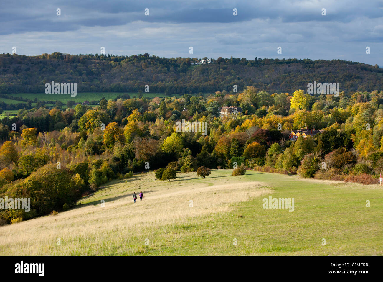 Voir l'automne du nord, le long de l'épi Burford, Dorking, Surrey, Angleterre, Royaume-Uni, Europe Banque D'Images