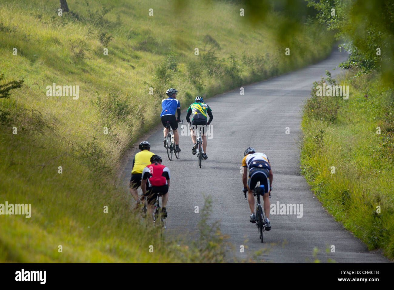 Les cyclistes sur le Zig Zag, Surrey, Angleterre, Royaume-Uni, Europe Banque D'Images