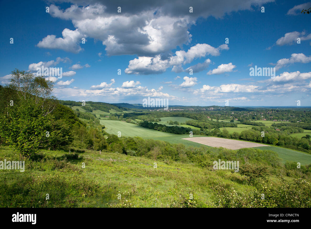 Vue d'été est le long les collines du Surrey, Surrey, Angleterre, Royaume-Uni, Europe Banque D'Images