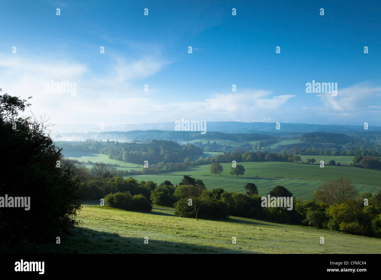 Newlands Corner view, près de Guilford, Surrey Hills, North Downs, Surrrey, Angleterre, Royaume-Uni, Europe Banque D'Images