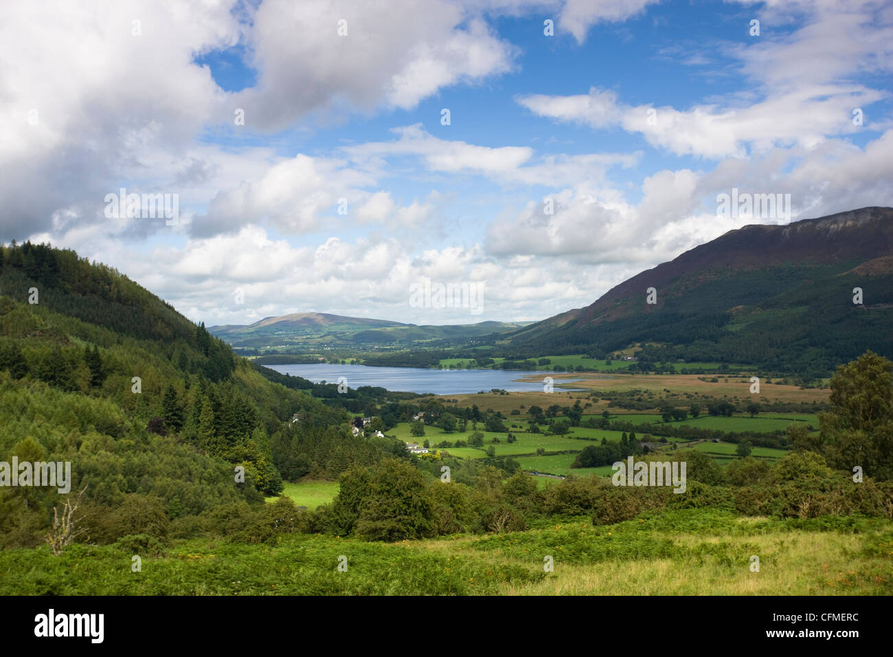 Vue vers le lac Bassenthwaite, Cumbria, Angleterre, Royaume-Uni, Europe Banque D'Images