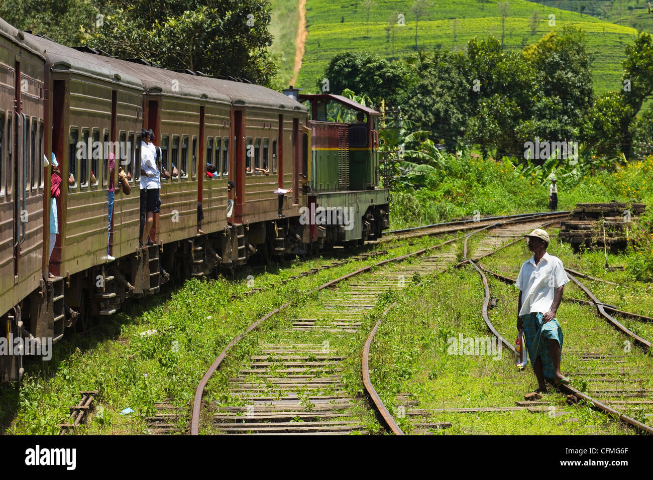 Le train touristique populaire à travers la montagne, et de culture du thé ici entre Hatton à Nuwara Eliya, Sri Lanka, Asie Banque D'Images