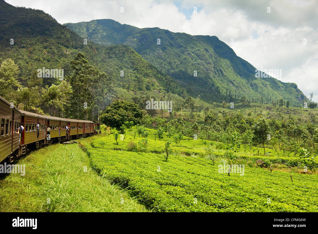 Le trajet en train panoramique à travers les hautes terres centrales, avec ses montagnes et plantations de thé, près de Nuwara Eliya, Sri Lanka, Asie Banque D'Images