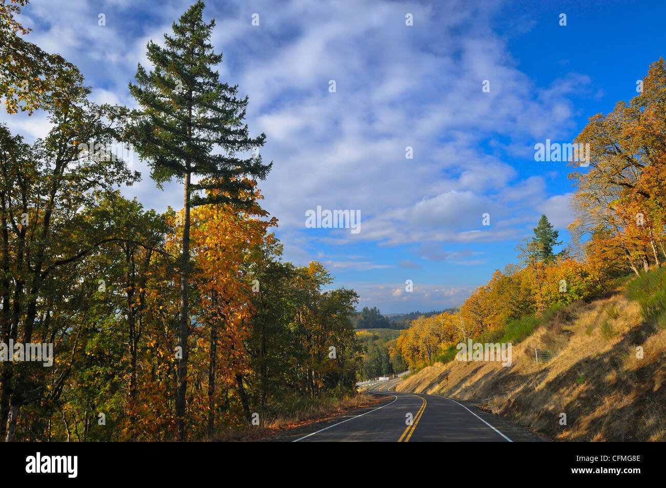 USA (Oregon), comté de Polk, Country Road Banque D'Images