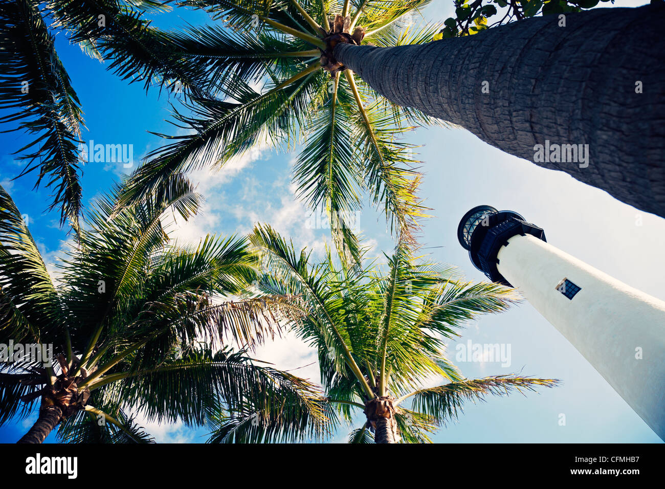 USA, Floride, Key Biscayne, phare avec palmiers Banque D'Images