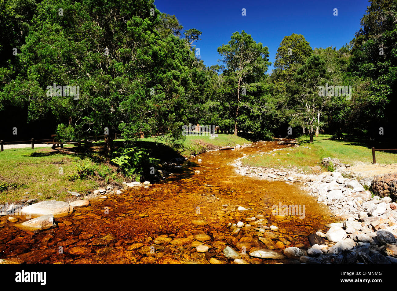 Jubilé Creek près de Knysna, sur la Garden Route Western Cape, Afrique du Sud Banque D'Images