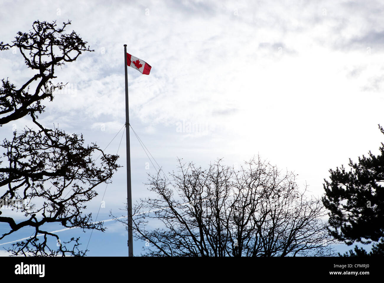 Le drapeau canadien dans le vent au sommet de Beacon Hill dans le parc Beacon Hill, victorien, Canada. Banque D'Images