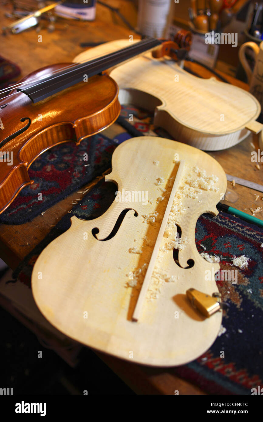 Un violon. Banque D'Images