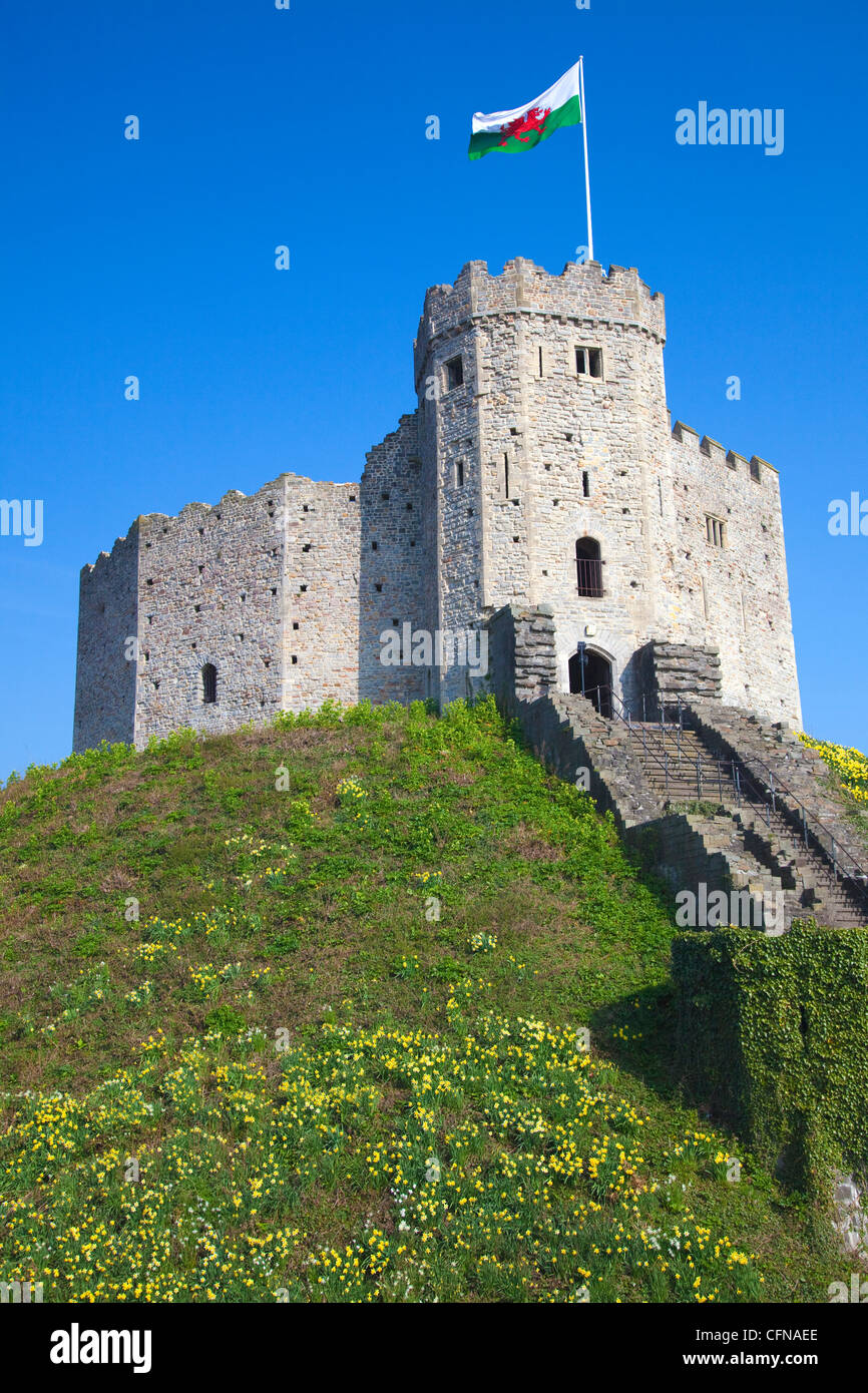 Donjon normand, le château de Cardiff, Cardiff, Pays de Galles, Pays de Galles, Royaume-Uni, Europe Banque D'Images