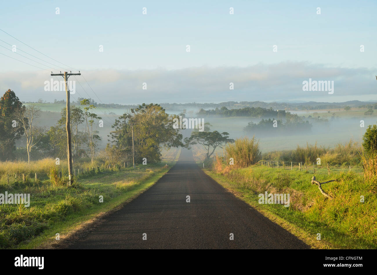 Road et de terres agricoles sur matin brumeux, Atherton Tableland, Queensland, Australie, Pacifique Banque D'Images