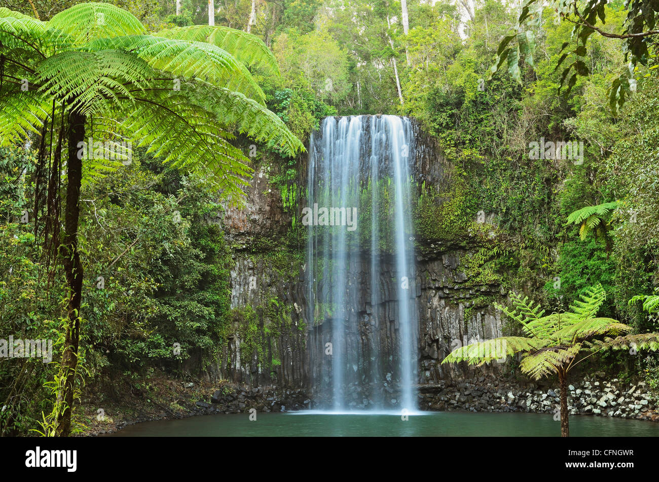 Millaa Millaa Falls, Atherton Tableland, Queensland, Australie, Pacifique Banque D'Images