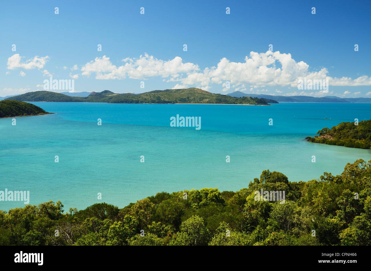 Shutehaven Harbour, Whitsunday Islands, Queensland, Australie, Pacifique Banque D'Images