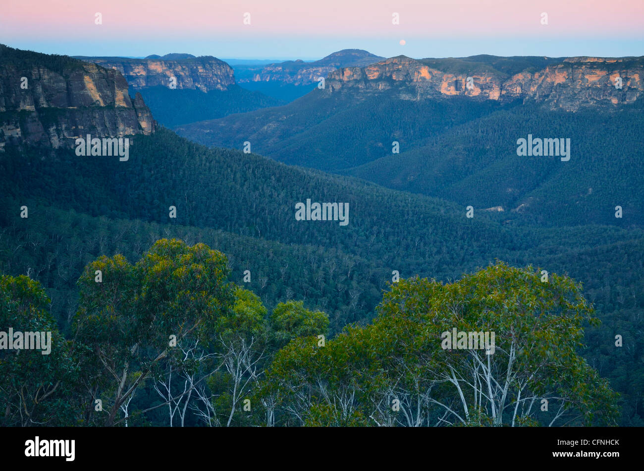 Lever de la Grose Valley, Parc National de Blue Mountains, UNESCO World Heritage Site, New South Wales, Australie, Pacifique Banque D'Images