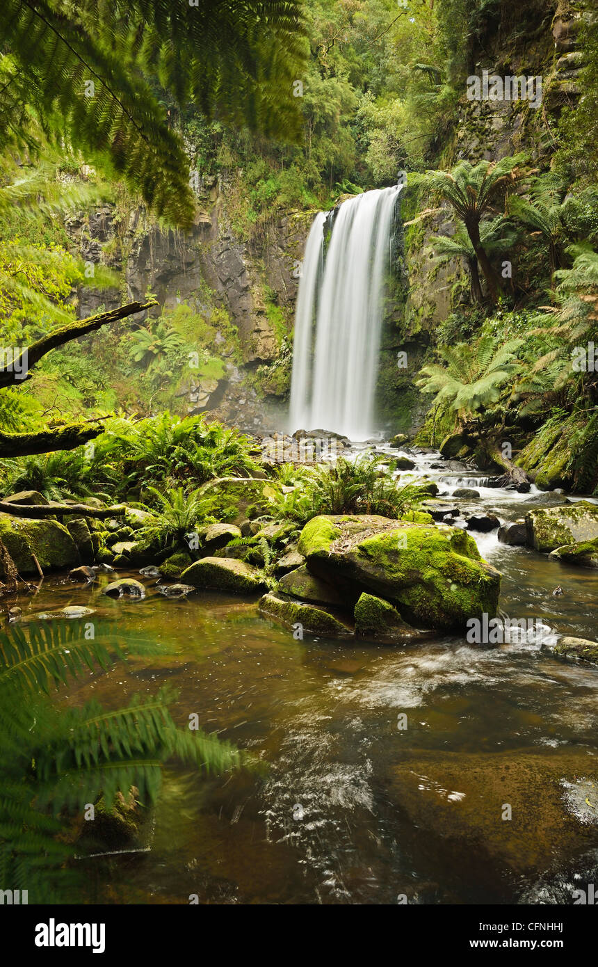 Hopetoun Falls, Great Otway National Park, Victoria, Australie, Pacifique Banque D'Images