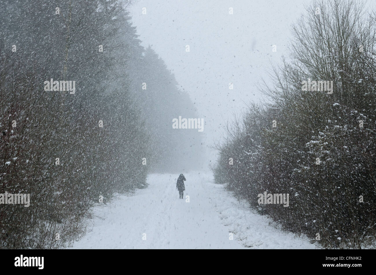 Paysage d'hiver, près de Villingen-Schwenningen, Forêt-Noire, Bade-Wurtemberg, Allemagne, Europe Banque D'Images