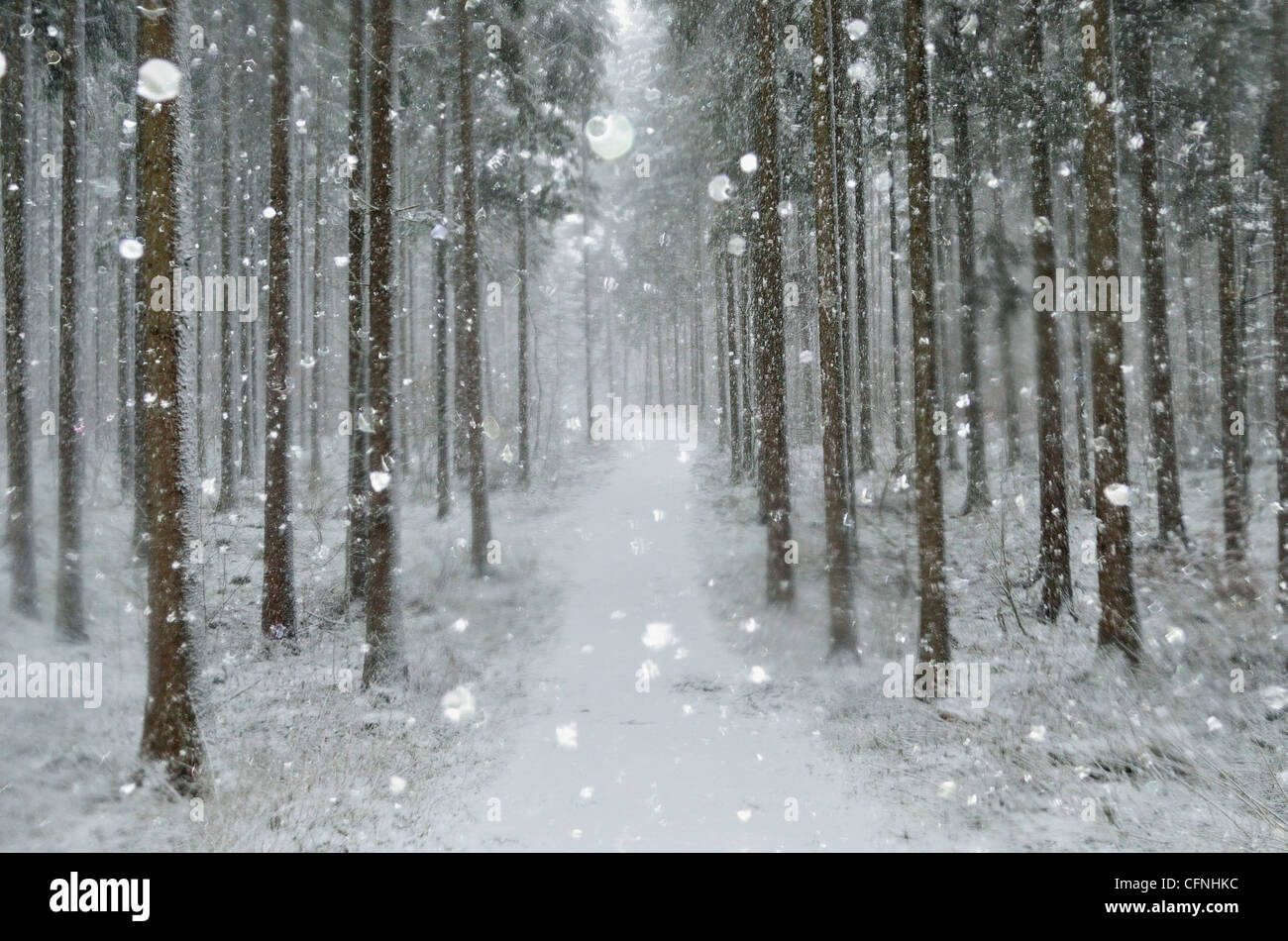 Paysage d'hiver, près de Villingen-Schwenningen, Forêt-Noire, Bade-Wurtemberg, Allemagne, Europe Banque D'Images