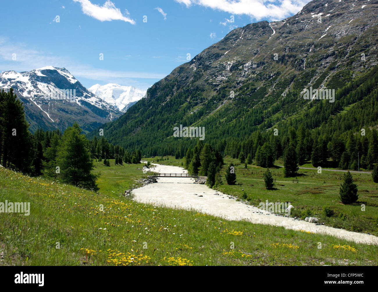 Rivière près de Saint-moritz, Canton des Grisons, Swiss Alps, Switzerland, Europe Banque D'Images