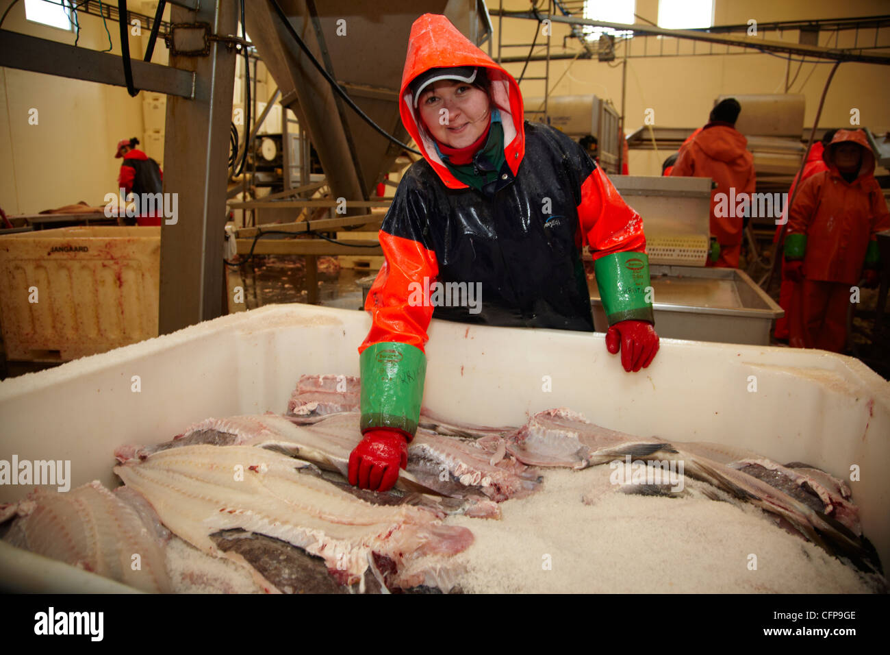 Dans une usine de poisson Röst, Lofoten, Norvège Banque D'Images