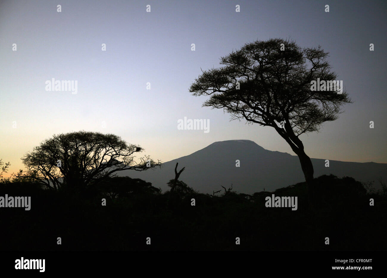 Le mont Kilimandjaro, tôt le matin, du Parc national Amboseli, au Kenya. Banque D'Images