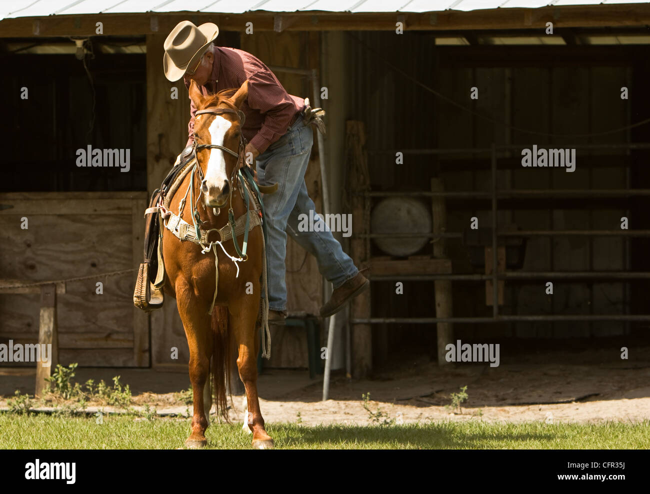 Un cowboy est de son cheval en face de sa grange. Banque D'Images
