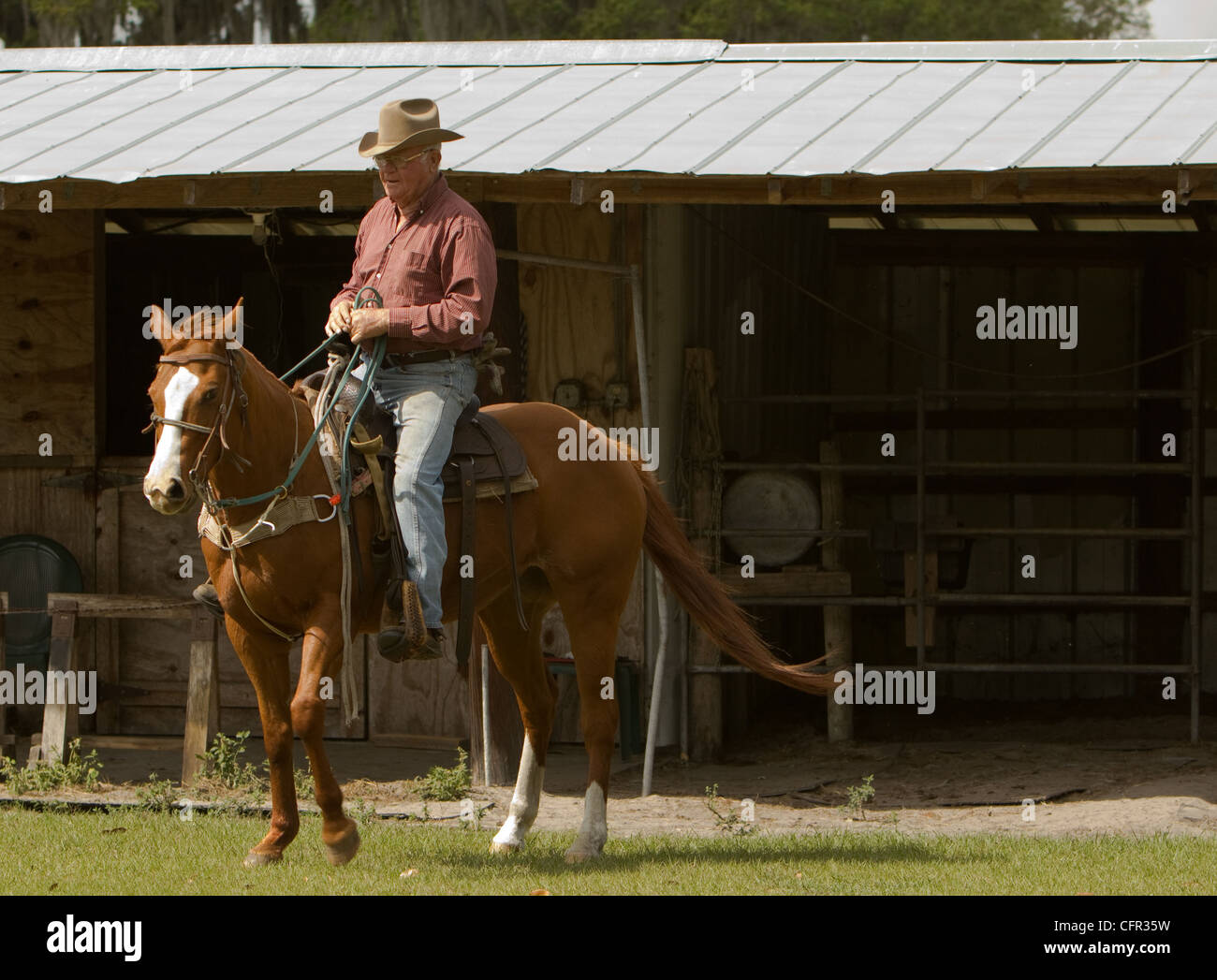 Un cowboy de sortir pour une journée de travail des troupeaux de vaches et de réparer des clôtures. Banque D'Images