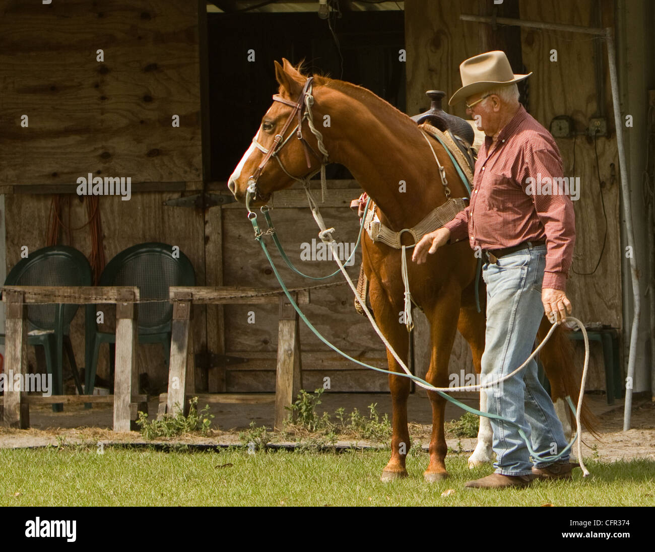 Un cowboy se préparent à monter son cheval. Banque D'Images