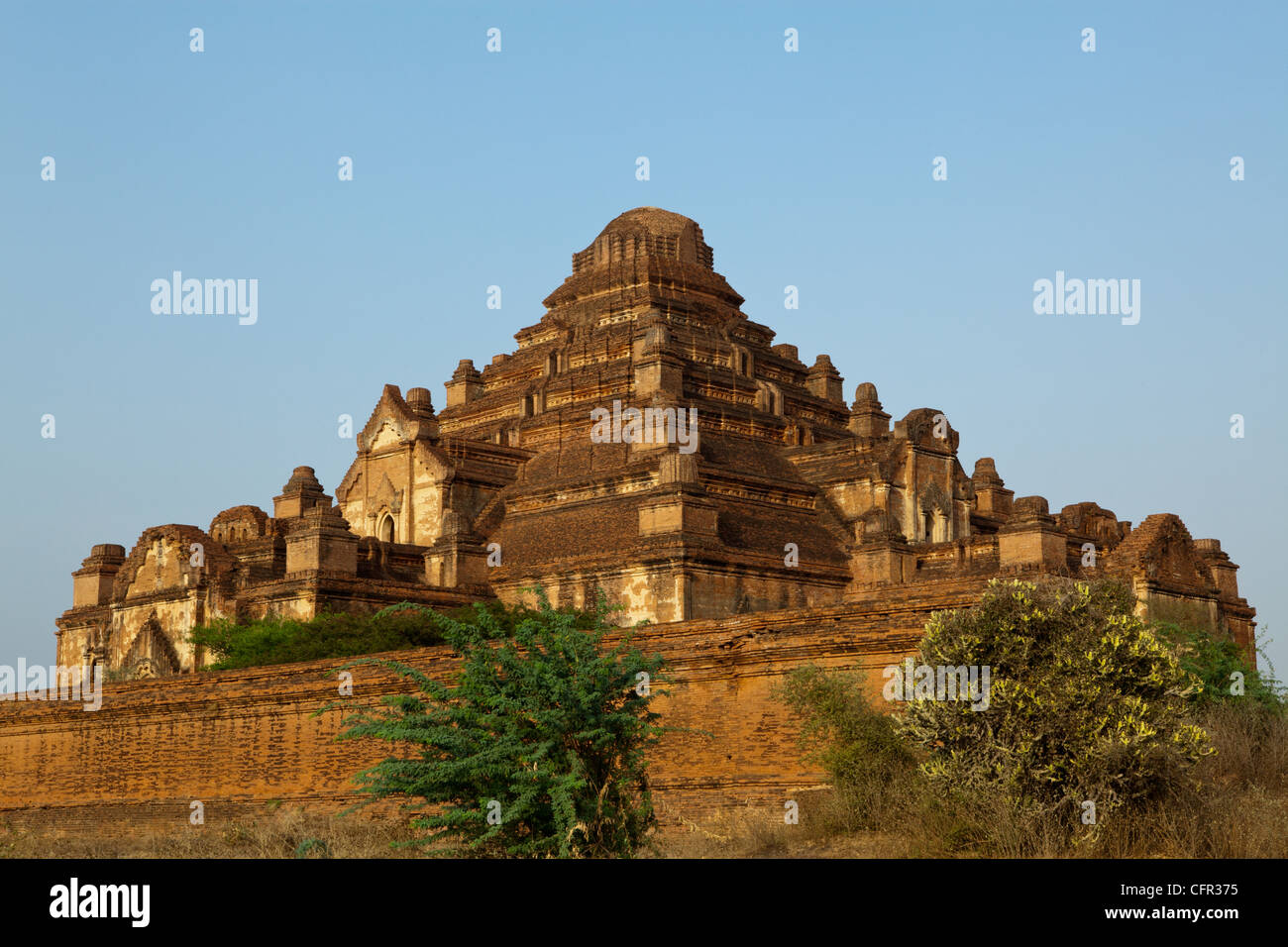 Dhamma Yan Gyi Pahto paroi massive est un temple du 12ème siècle connue par les Birmans locaux comme "mauvaise chance temple'. Banque D'Images