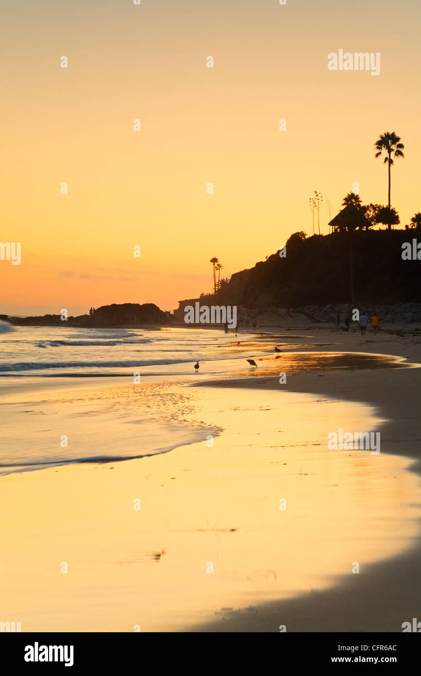 Laguna Beach, Orange County, Californie, États-Unis d'Amérique, Amérique du Nord Banque D'Images