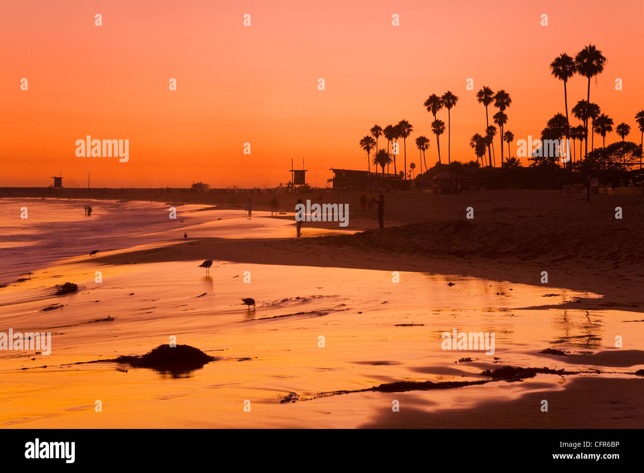 Coucher du soleil à Corona del Mar Beach, Newport Beach, Orange County, Californie, États-Unis d'Amérique, Amérique du Nord Banque D'Images