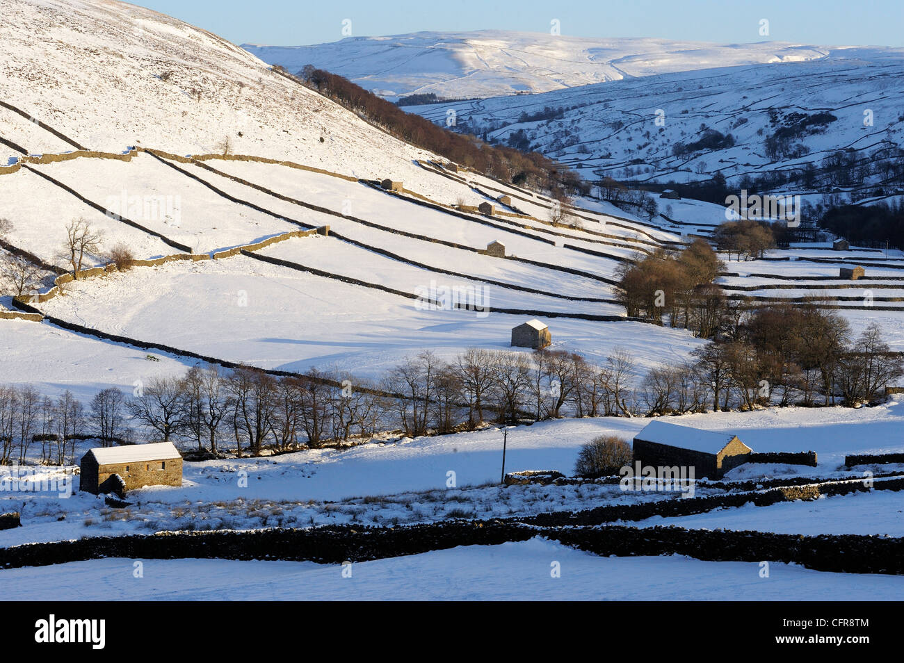 Les granges en pierre dans un paysage d'hiver, Swaledale, Yorkshire Dales National Park, North Yorkshire, Angleterre, Royaume-Uni, Europe Banque D'Images