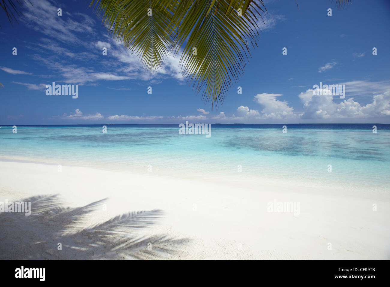 Maldives tropical beach, Maldives, océan Indien, Asie Banque D'Images