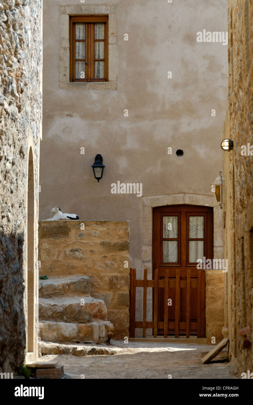 Monemvasia. Péloponnèse. La Grèce. Vue de chat noir et blanc assis sur la clôture en pierres de chambre avec porte brune et porte en Banque D'Images