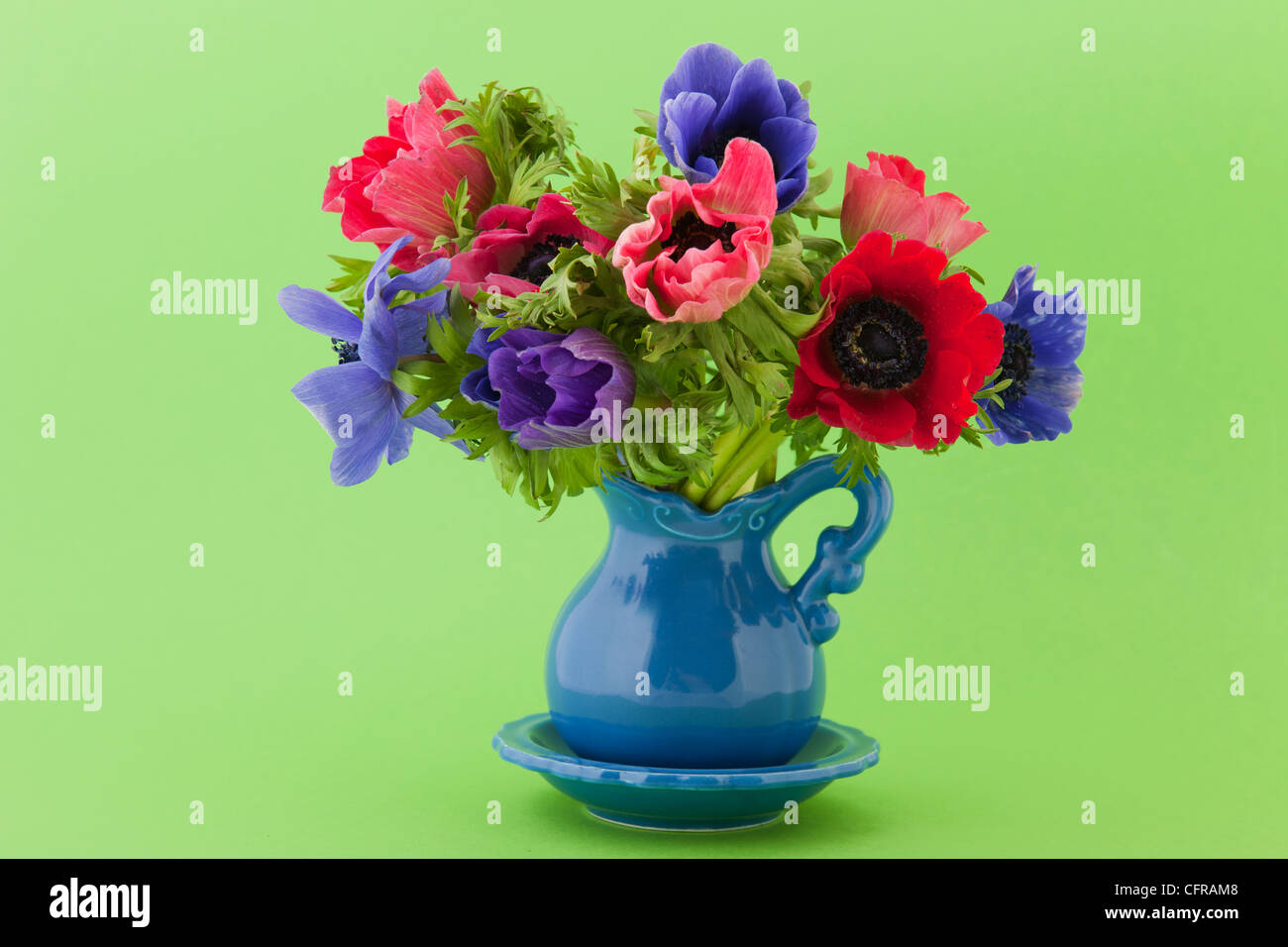 Petit vase aux anémones bouquet coloré Banque D'Images