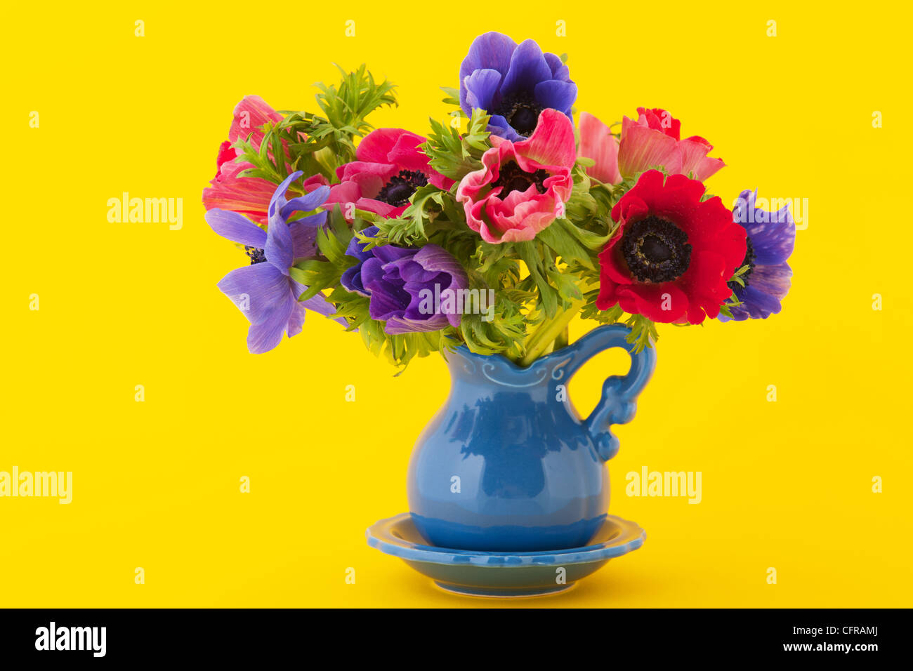 Petit vase aux anémones bouquet coloré Banque D'Images
