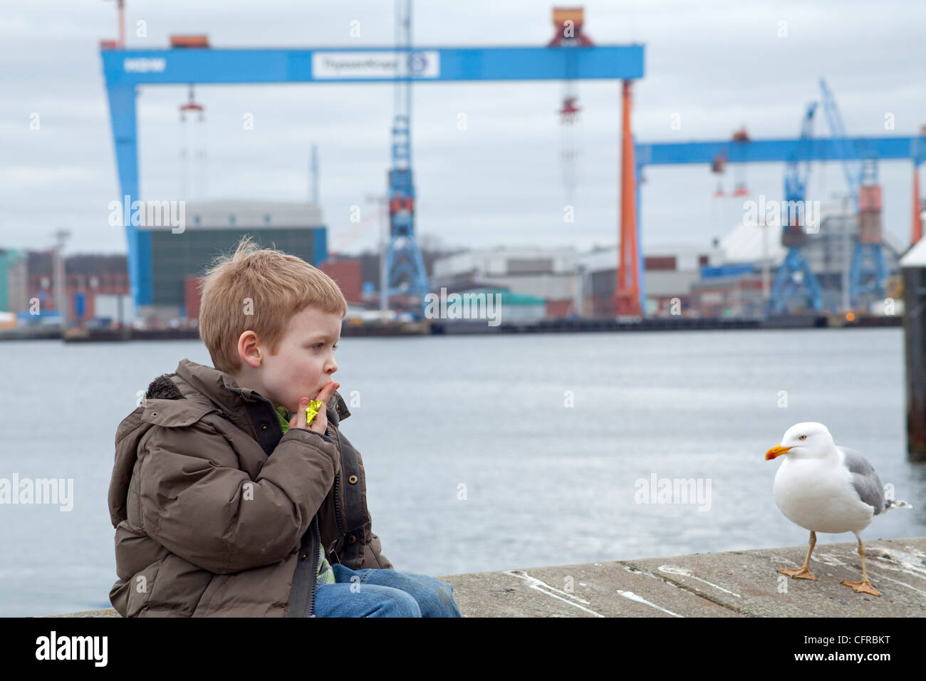 Jeune garçon assis à côté d'une mouette sur un quai dans le port de Kiel, Schleswig-Holstein, Allemagne Banque D'Images